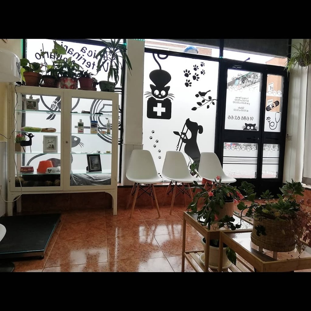C. Veterinario Acuario