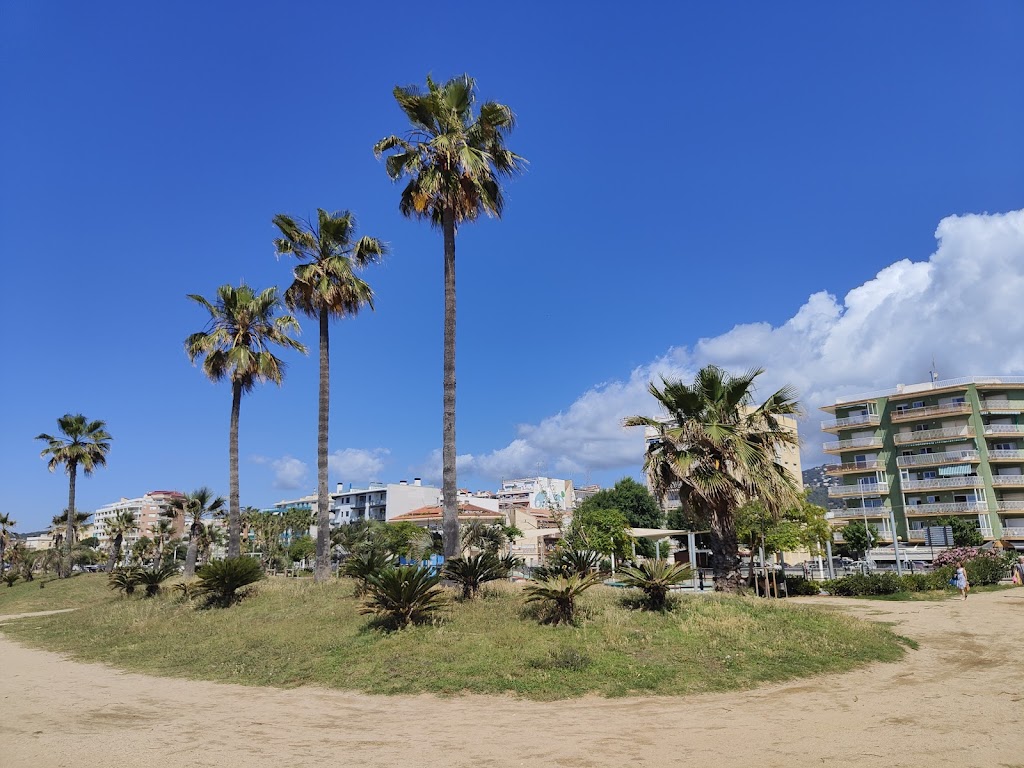 Playa de Poblenou