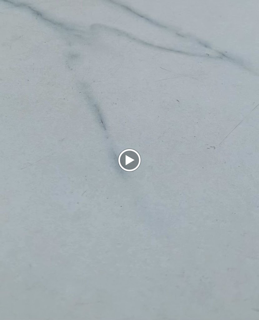 Restaurante Cafeteria Concordia — Videos