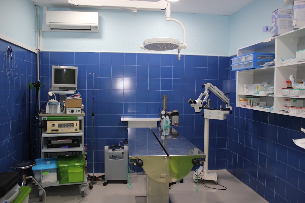 AniCura Cruz Verde Hospital Veterinario — Del propietario