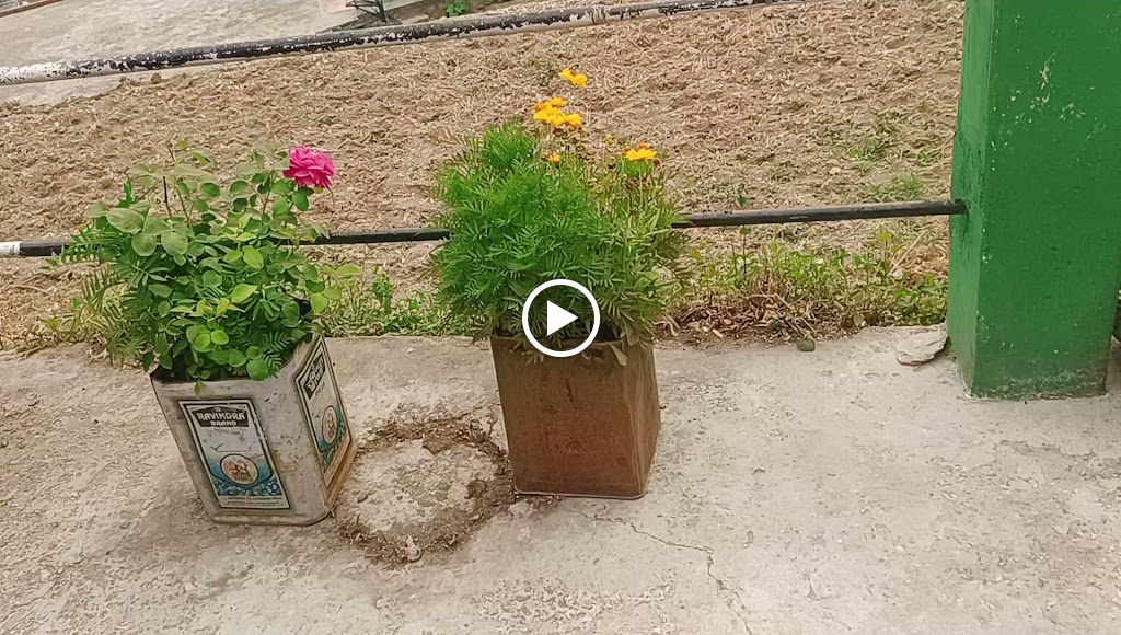 Videos