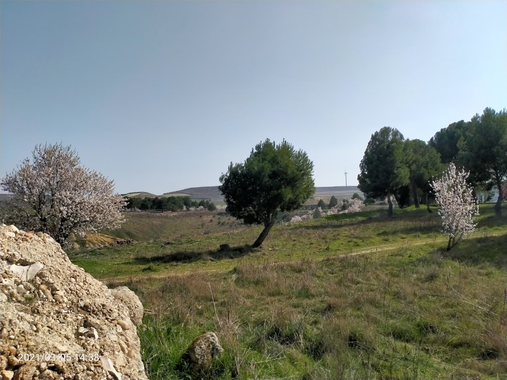 Sendero entre el Castillo de Monzon de Campos y las bodegas