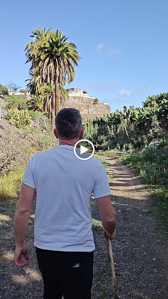 Palmeral Barranco Los Palmitos — Videos