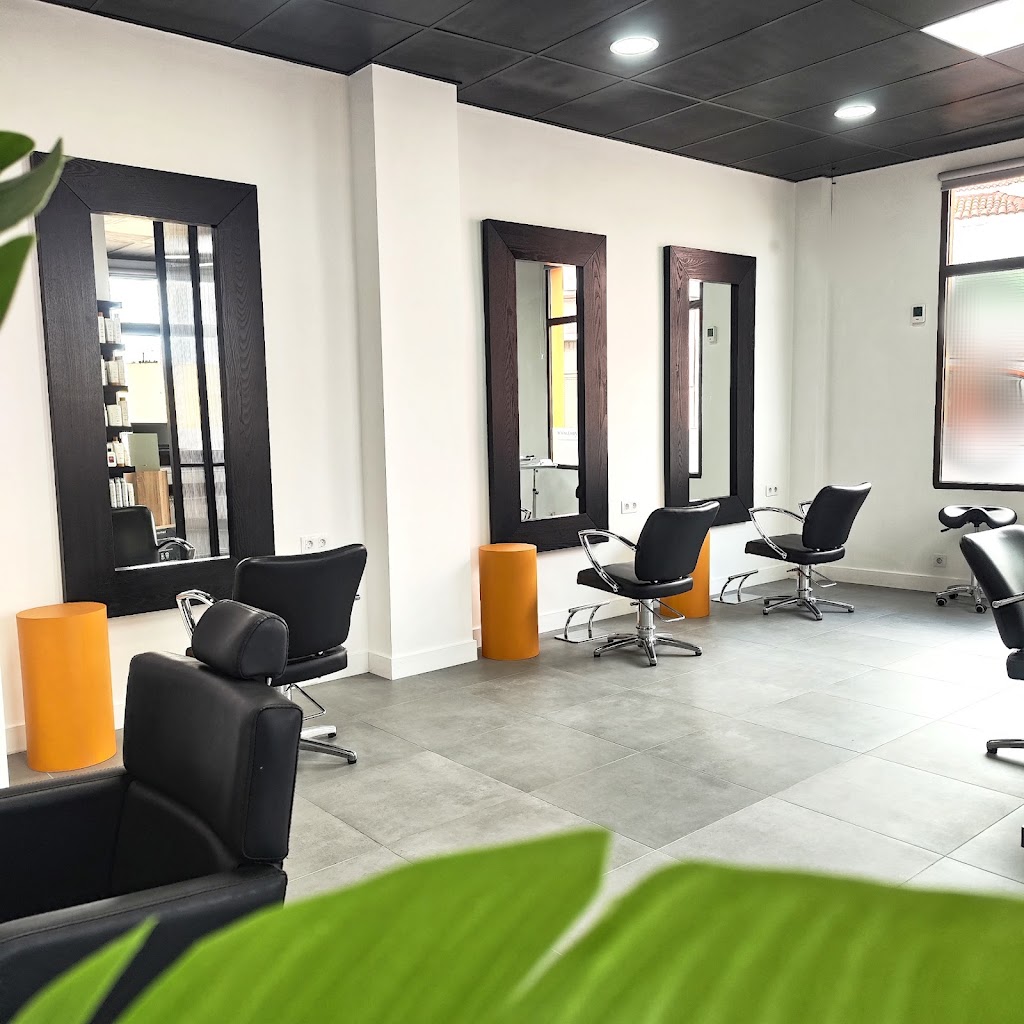 Tony Batista Estilista Peluqueros — Interior