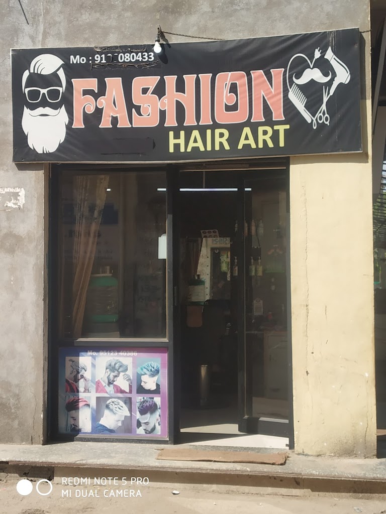Fashion Hair Art
