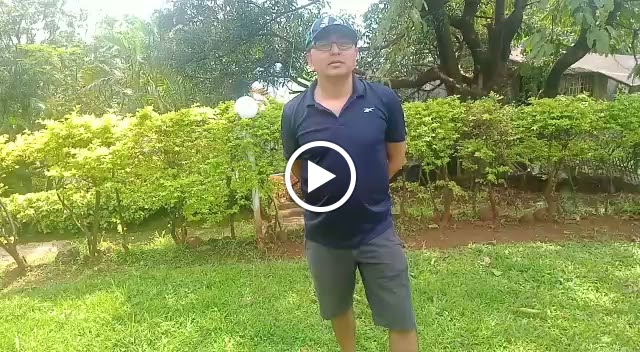 Videos