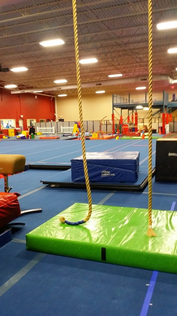  Stars & Stripes Athletics