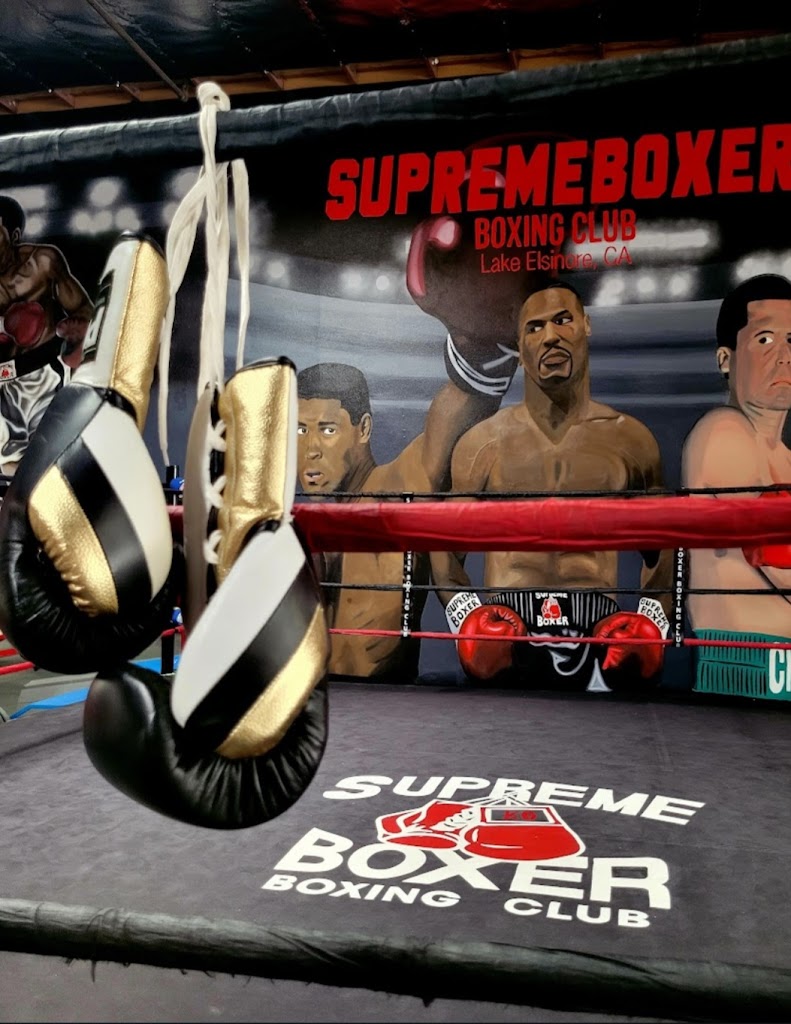  Supreme Boxer Boxing Club