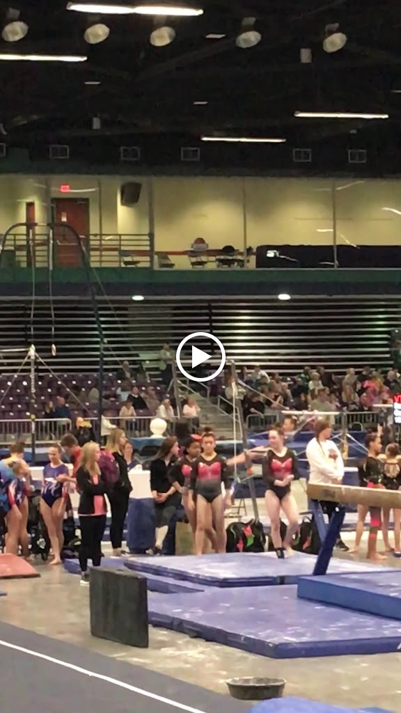  Beach Team Gymnastics at Terry and Don's