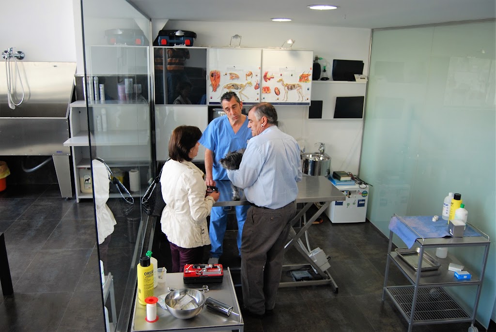Servicios Veterinarios IAS — Del propietario