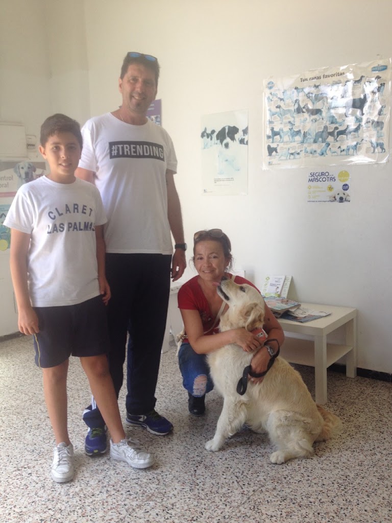 Clinica Veterinaria Tamaraceite — Del propietario