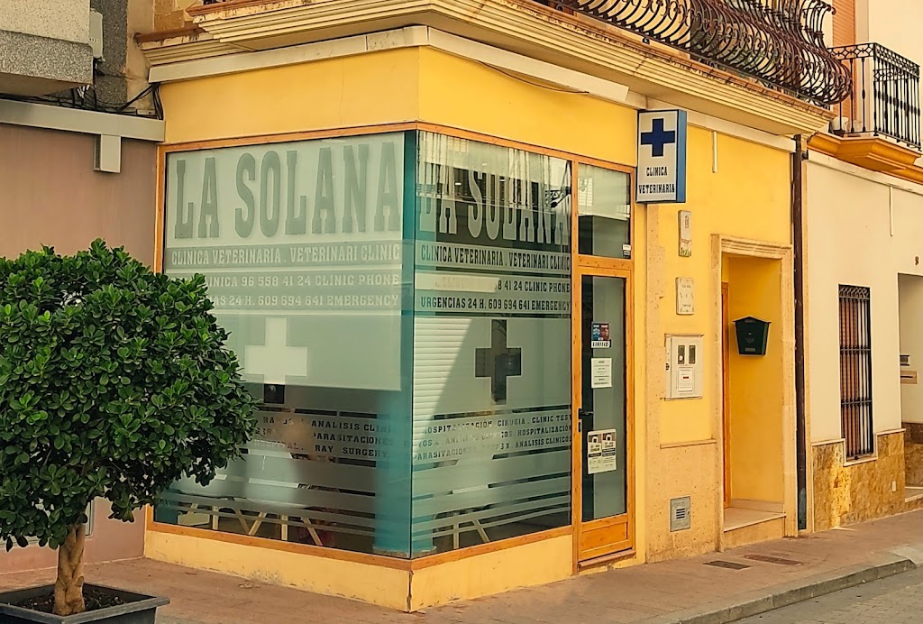 CLINICA VETERINARIA LA SOLANA - ORBA