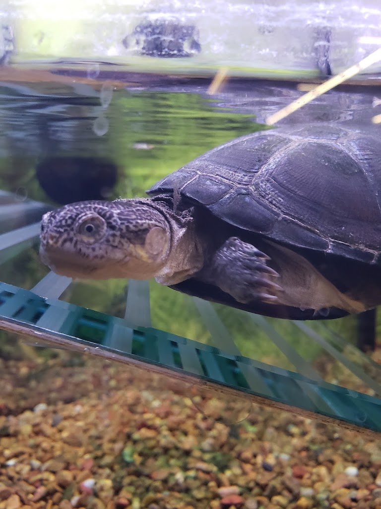 Aquarium