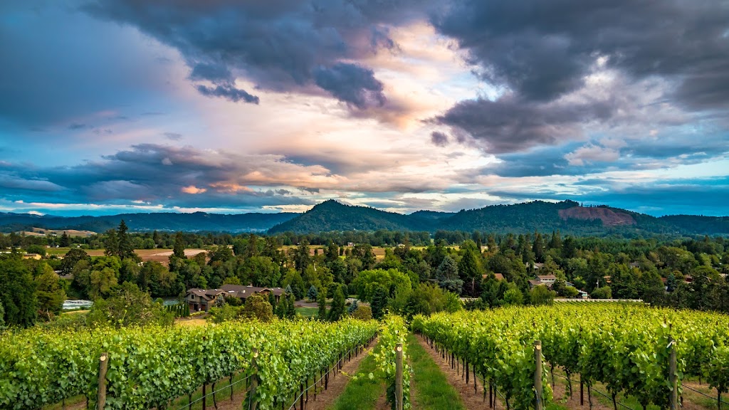 Cooper Ridge Vineyard