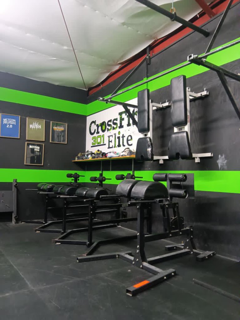  CrossFit 301 Elite