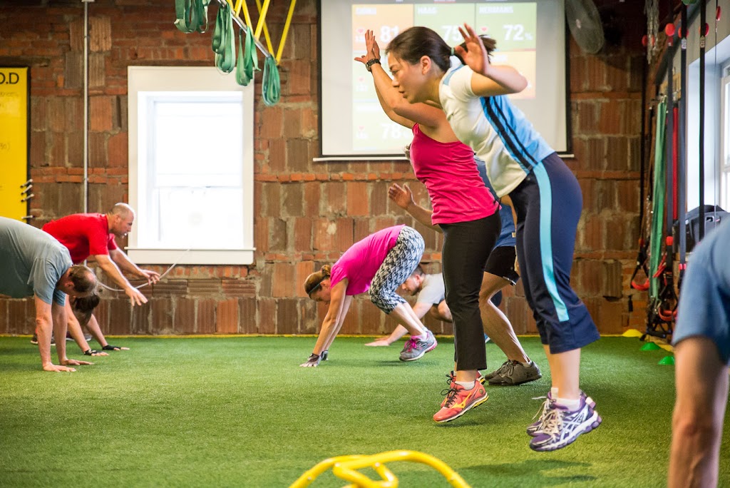  Tribe Fitness Main Line