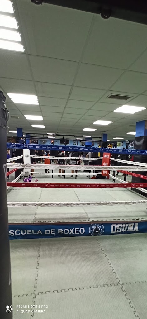 Escuela de boxeo Osuna