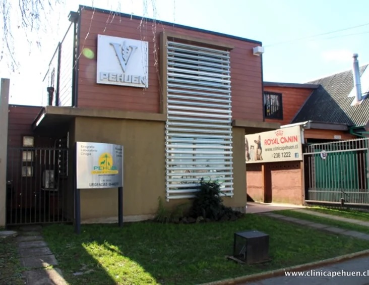 Clinica Veterinaria Pehuen Latorre en Los Angeles, Los Ángeles