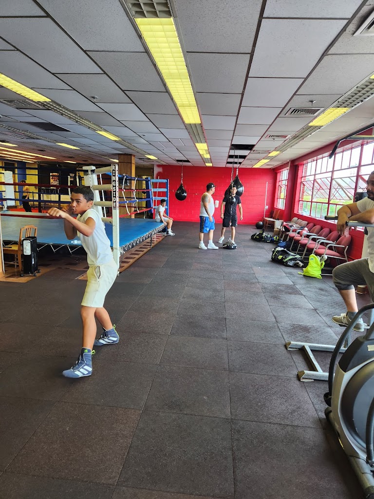  Show Stoppers Boxing Gym