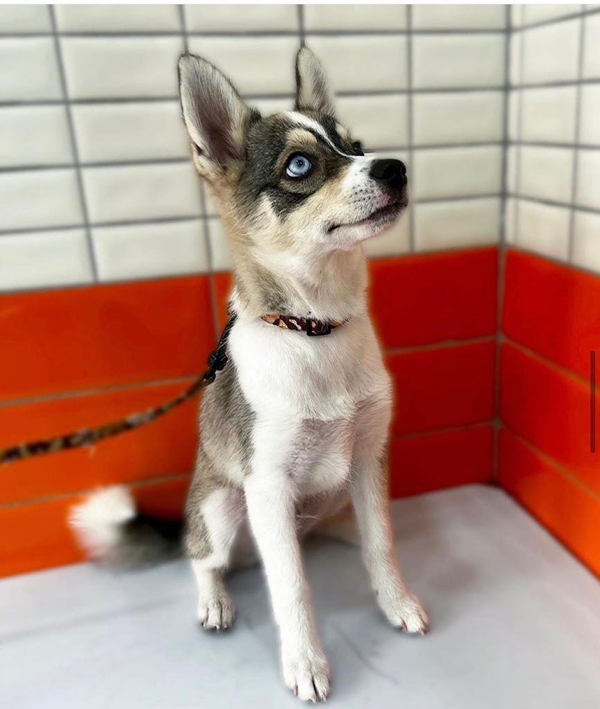 Clinica Veterinaria Aitana — Del propietario