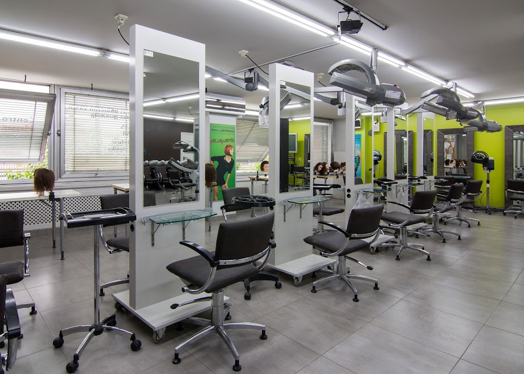 CPES Hermanos Larrinaga BHIP