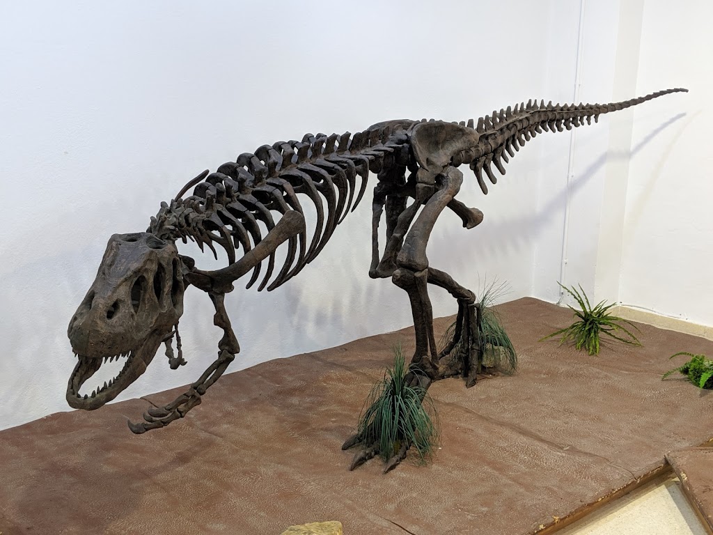 Museos Municipales de Estepona