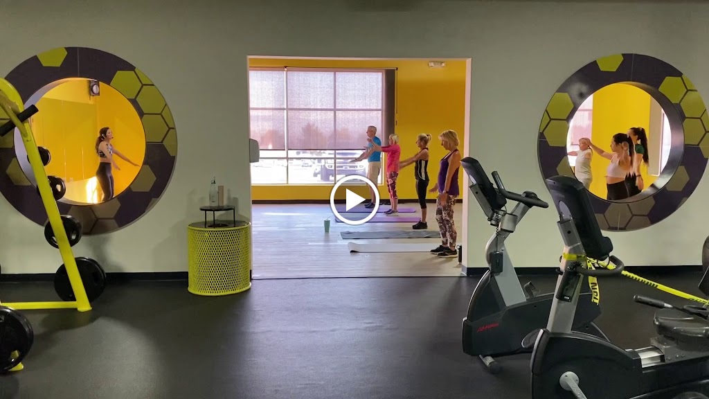  Hive Therapy Health & Fitness