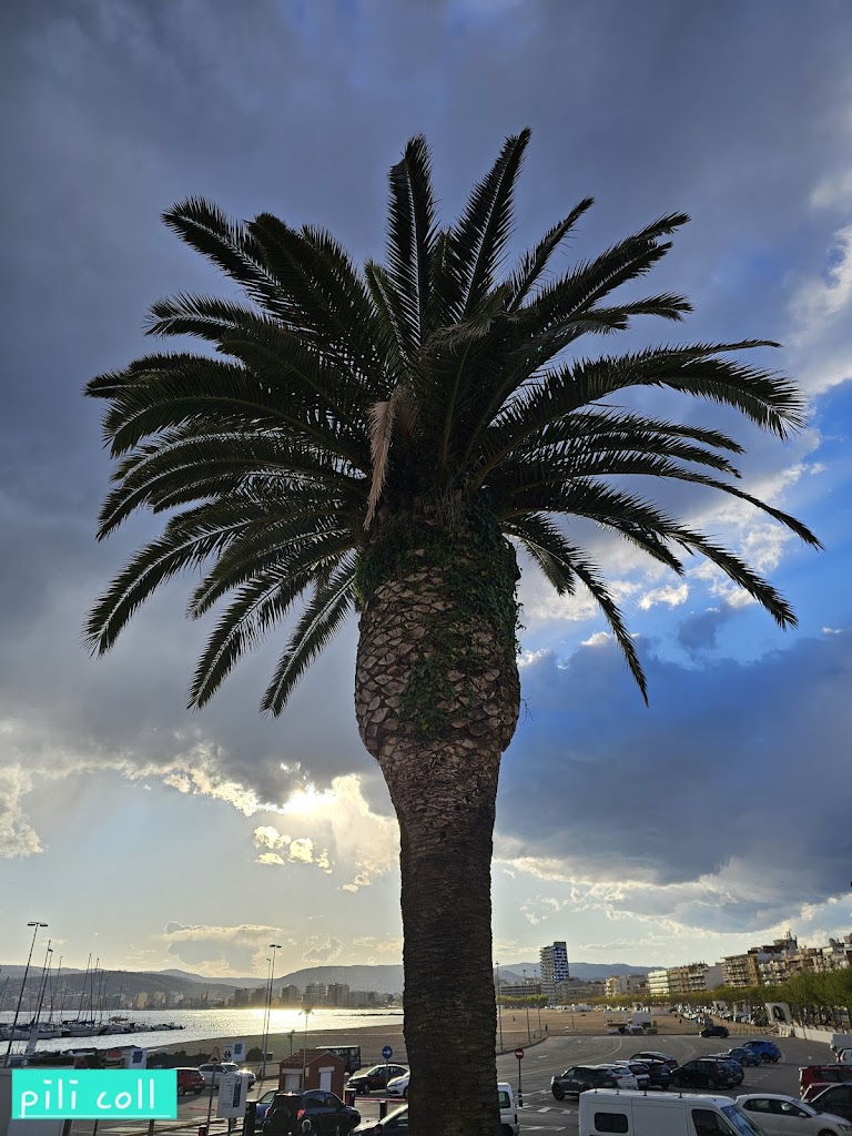 Monumento al Pintor Ezequiel Torroella