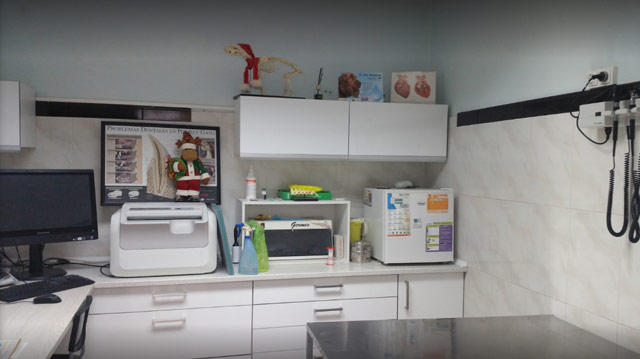 Clinica Can — Del propietario