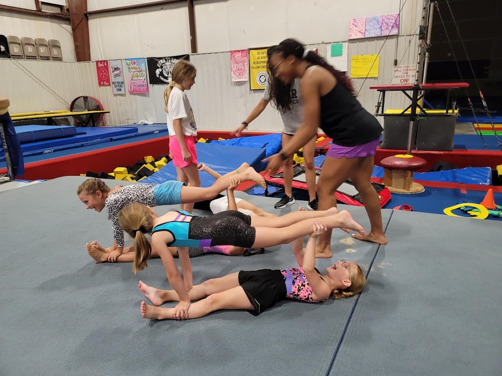  Tiger Academy of Gymnastics