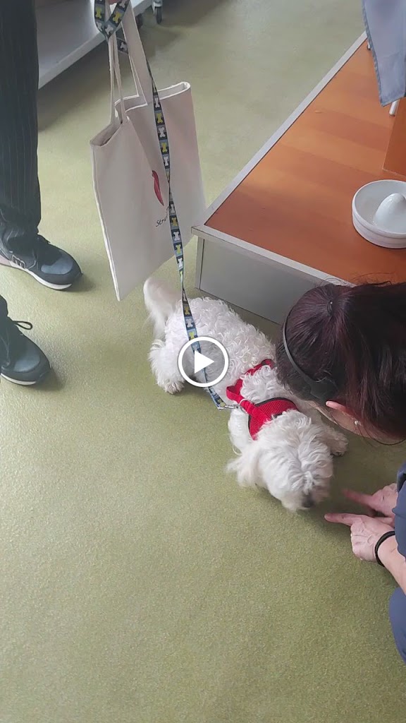 Cristina Veterinarios - Clinica veterinaria en Naron — Del propietario