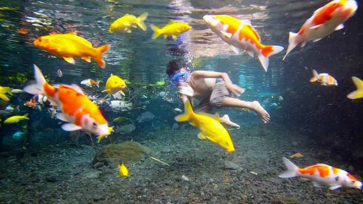 Pemandian Tirto Sari