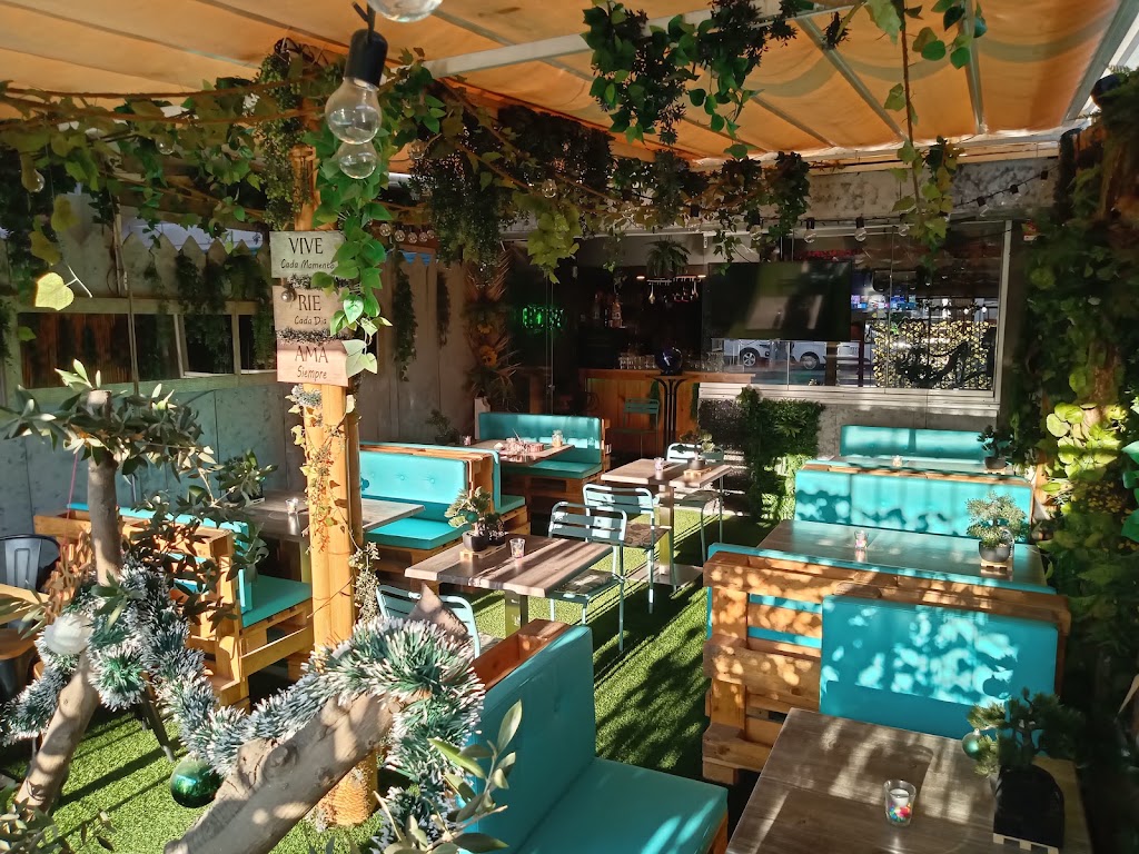 Bonsai Shisha Lounge — Del propietario
