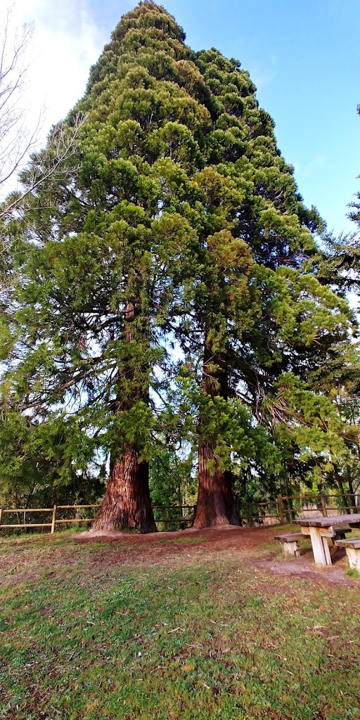 Jardin del Carretero - Parque y merendero