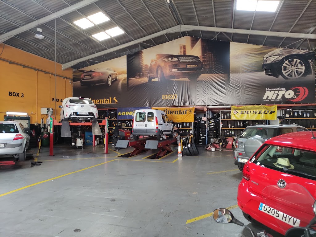 Neumaticos Mito — Interior