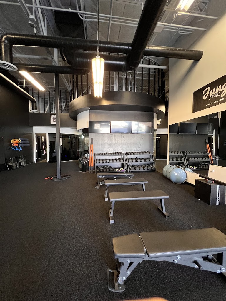  Icon Performance & Recovery