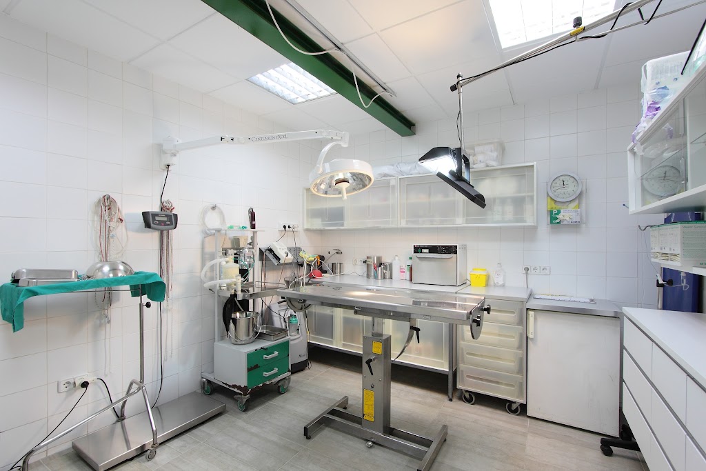 Clinica Veterinaria El Port — Del propietario