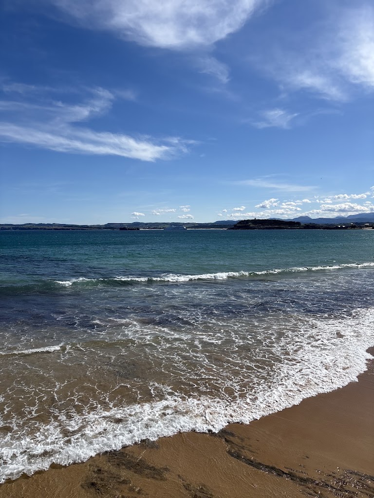 Querida Mar — Mas recientes