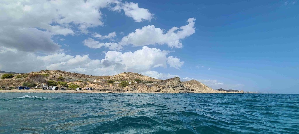 Platja del carritxal