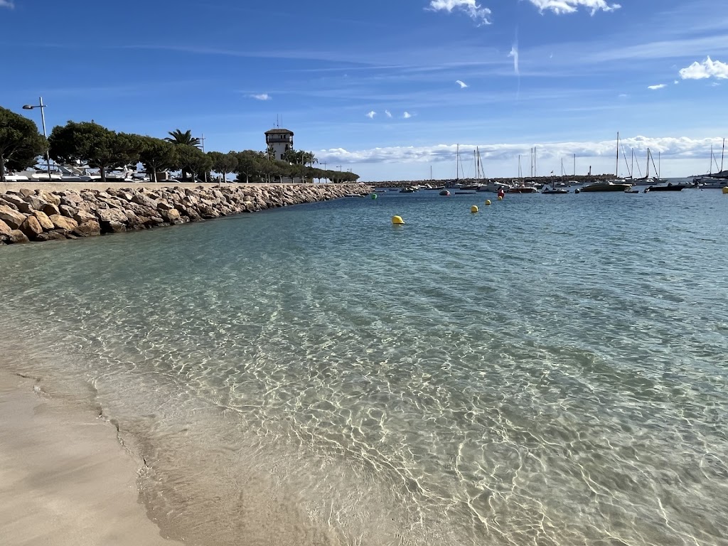 Platja de Punta Portals