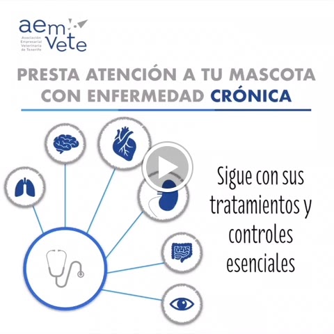 Clinica Veterinaria Okapi — Del propietario