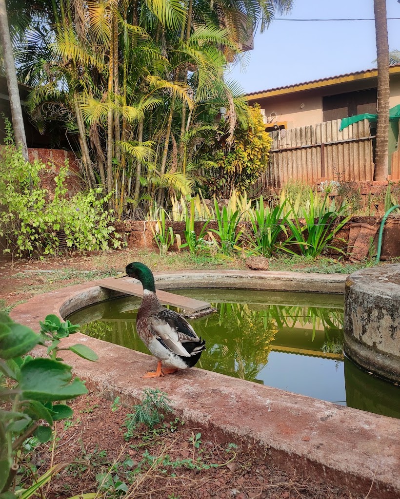 Ramanant Village Resort