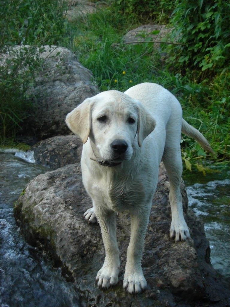 Les Arenes (estacionament)