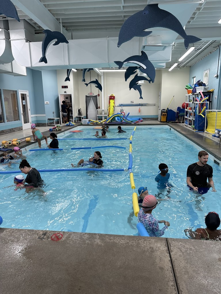  The Little Dolphin Swim Academy