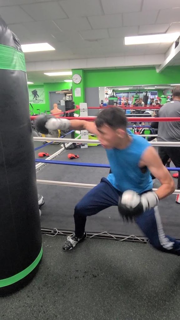  Slick Sluggers Boxing