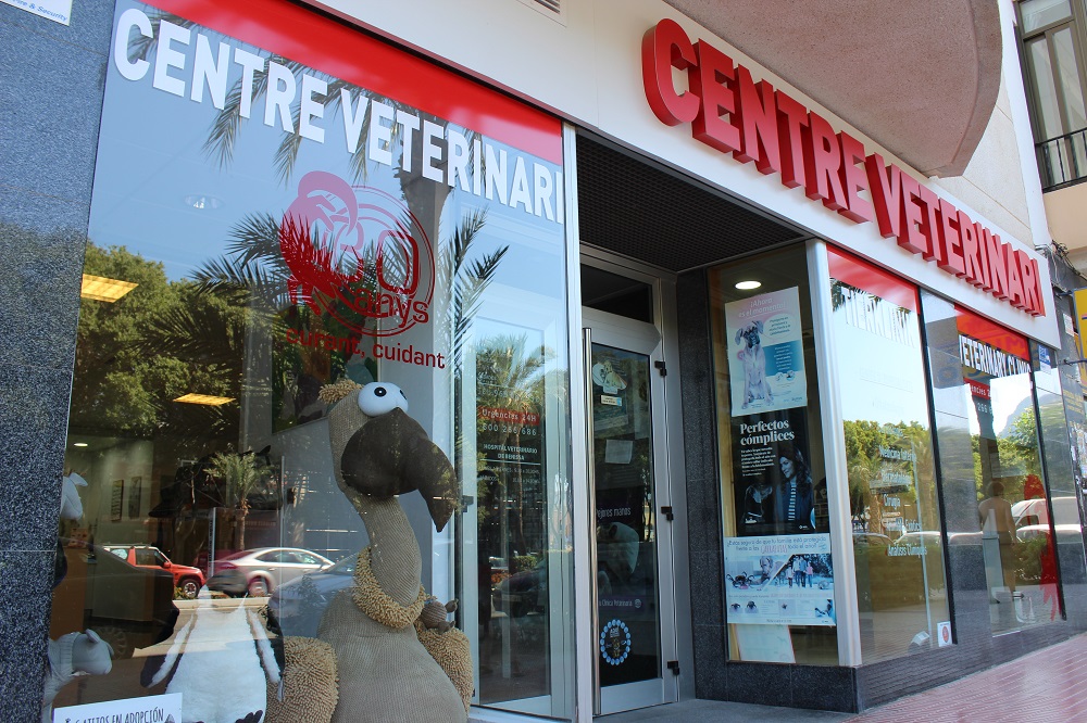 VetClinics Calpe — Del propietario