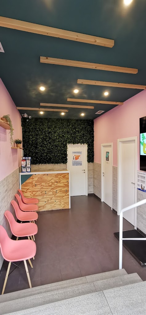 Clinica Veterinaria Animal Kingdom — Del propietario