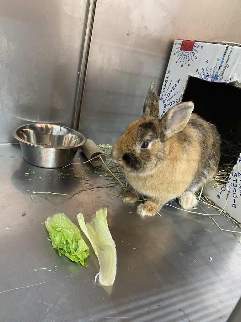 Clinica Veterinaria Veterisan — Del propietario