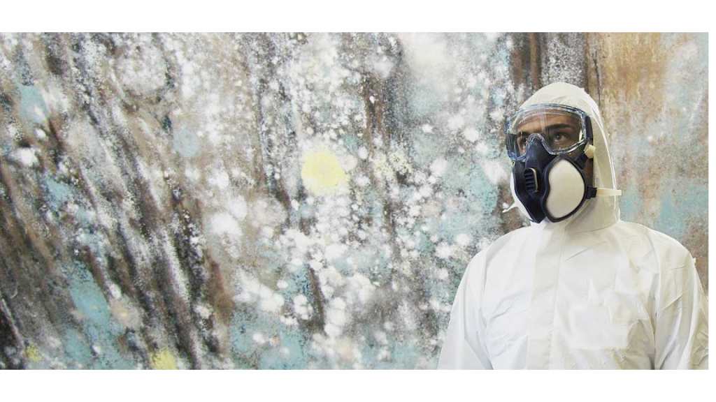 Water damage restoration service in Mechanicville