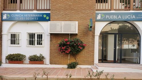 Clinica Veterinaria Puebla Lucia — Del propietario